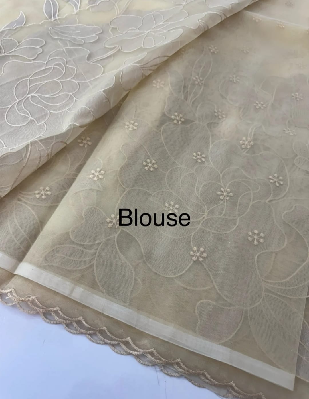 Organza Tissue Appliqué Saree